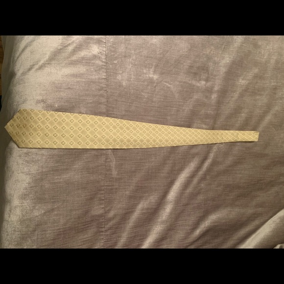 Ermenegildo Zegna Tie - Picture 1 of 2